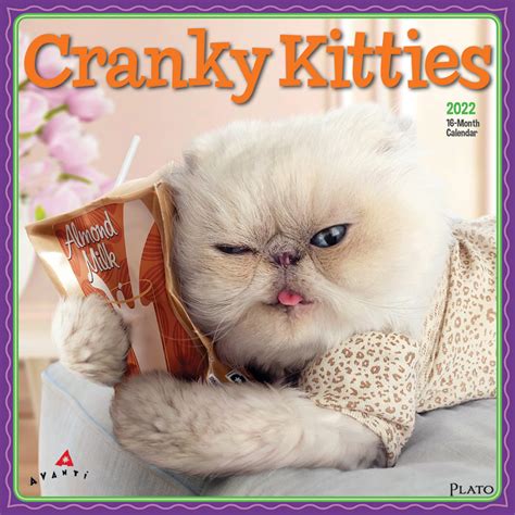 Cranky Kitties Calendar 2022